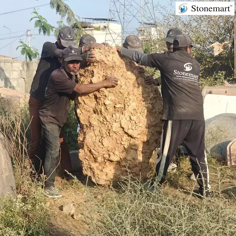 “Why I Should Add Stone Boulders to My Garden?” Experts Reveal!